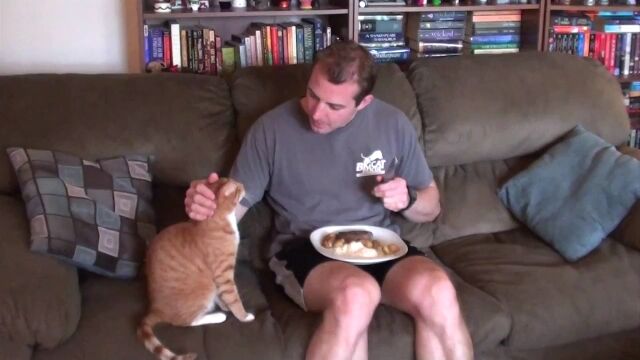 落ち着いてメシも食えやしない!食いしんぼう猫の前でとる食事のなんと難しいことか……