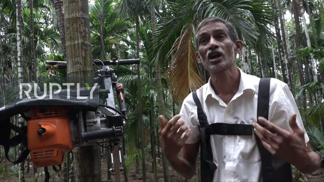 ����ɤ����ȤΤ�������ȯ�����������᤯���Ф�Ǥ���ޥ�����