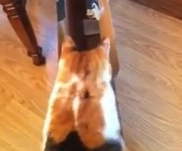 �ʤ�������ܤߤ���Ȣ�����ӹ��ߥϥޤä�ǭ
