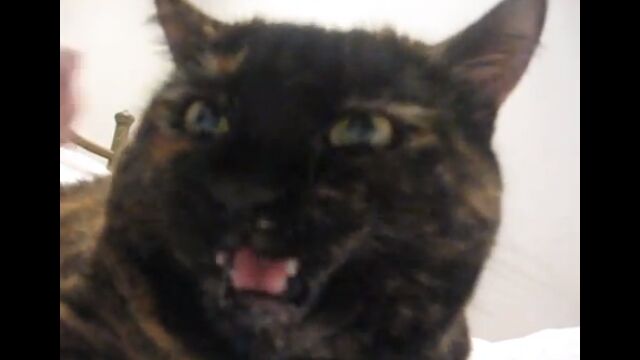 褹Ф㤦ӤŤĤ夲ǭΥ