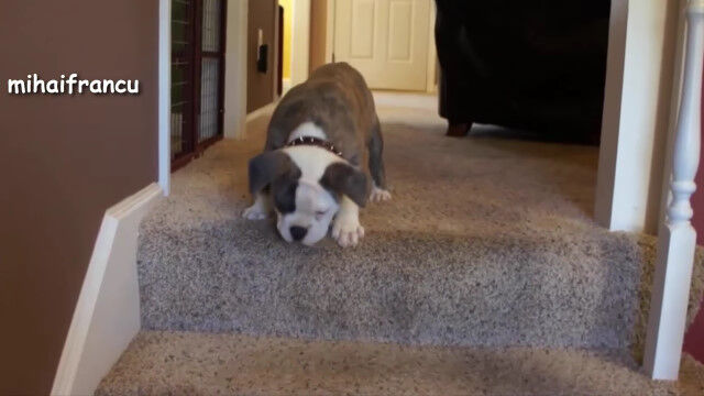 ���ʤ��ݤ��Ƥ��ޤ�ʤ����ߤꤿ���Τˤʤ��ʤ��ߤ���ʤ��������α�����