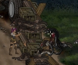 ������ϵ�ˤ������襤³�����ɱҥ����ࡡMoonlight Sonata