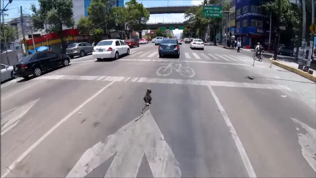 ������ݤ��������̤�¿��ƻϩ��ƨ�����뾮�����򡢼�ž�֤��ɤ��饤���������α���