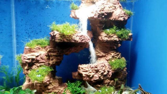 ˸ΩơɽȤꥦΥƥ˥å