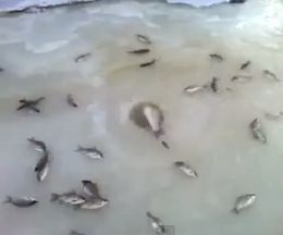 ���쿩�����⤵��������������������դ�ФƤ���������θ�