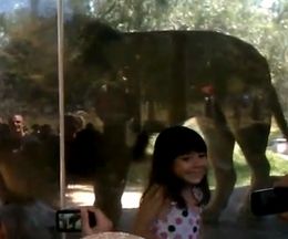 �饤����Ȱ��ˤϤ������������������θ塢��������ब�����ġ�