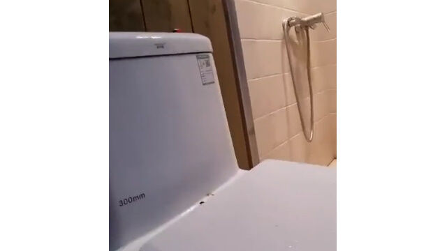 ǭ�ϻפ�̤Ȥ�����������फ���ݤ�