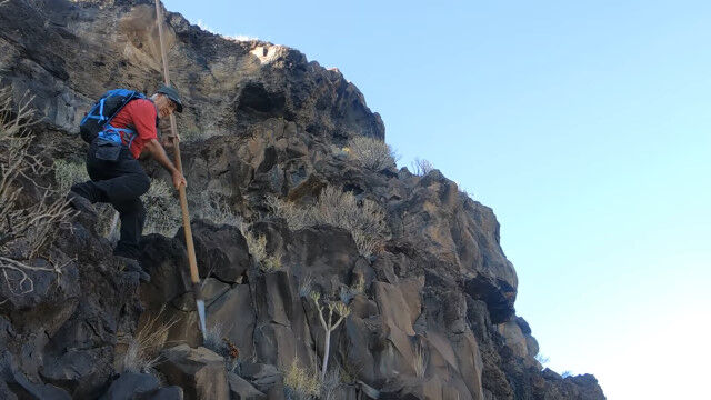 ᡼ǷڸĹȤƻӤΩΰư롢ʥꥢƥ˥å