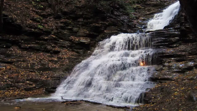 �˥塼�衼���θ���ˤ���ֱʱ�α�ס��������ʥ롦�ե쥤�����