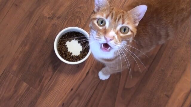 ǭ�ˤ��꤬���ʻ���Ҳ𤷤����������뤢��᤮��ġ�