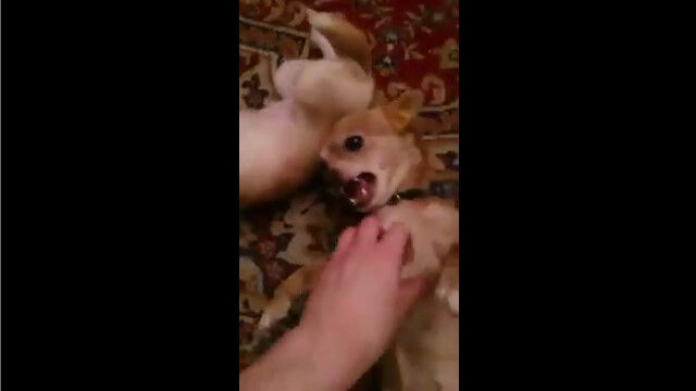 �֤��λҤ���ʤ��ƥܥ�����Ǥơ��׻����礫��ΰ�������ꤷ�����Ƥ��ޤ�ʤ���