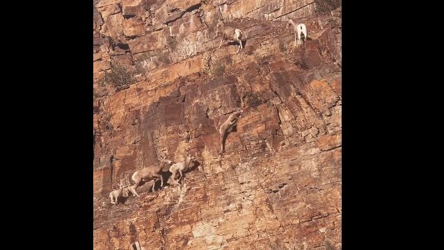 �������桢����䤹���ڤ�Ω�ä����򤳤Ȥ�ʤ����ФäƤ����ӥå��ۡ���η���