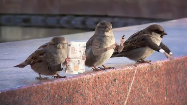 もしも鳥に腕があったら…?という妄想を現実にしてしまった映像集