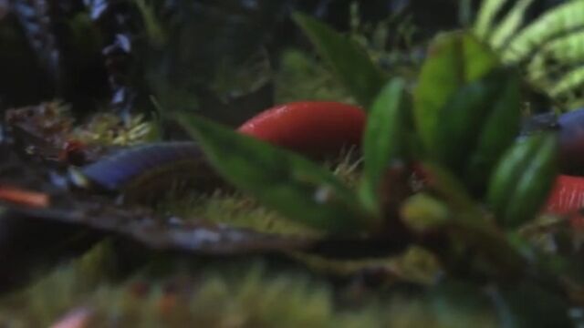 �礭�ʥߥߥ���ݤ��Ȱ��߹���ҥ���Ῡ����������