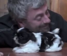 �ҥ��Υ��å�������ɤ�����줢�����������λҸ�