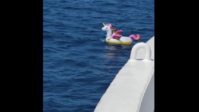 ��˥������⤭�ؤǥ��ꥷ��γ���ɺή�����������ե��꡼�˽������ʤ�������