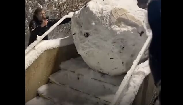 �礭����̤��ʤ���ž�����Ȥ������Ū�ζȤ������ꤢ����ʿ͡�