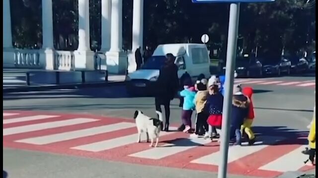 ͥ��������⤷�������硼����������ɸ���������ƻ���Ϥ�Ҷ�������ٸ��