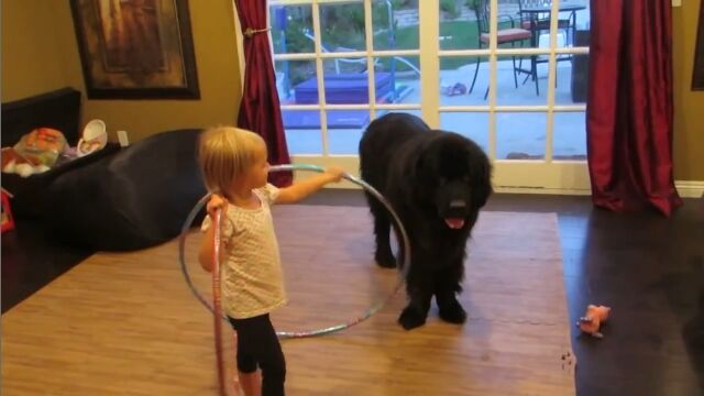 「こうやって回すのよ!」大型犬にフラフープを教える小さな女の子が可愛い