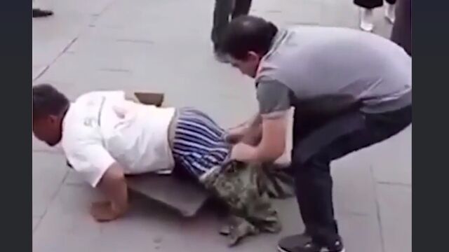ξ­�����Ǥ��줿�ե�򤷤Ƥ���ʪ�𤤡����ܥ��æ�����쥦����˽Ϫ�����