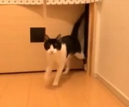 ������˥㤵�������س�������2�äǤ��зޤ�����ǭ