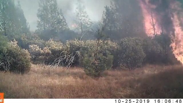 風に煽られてあっという間に燃え広がる、山火事の恐ろしさがよく分かるトレイルカメラの映像