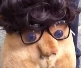 �ϥ�������β����Ϥ���˷�ޤ�Ǥ���
