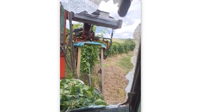 ���Ƚ���������ۤɥ���Ƥ�������Ǥ������⤷��ʤ��Ȥ�������