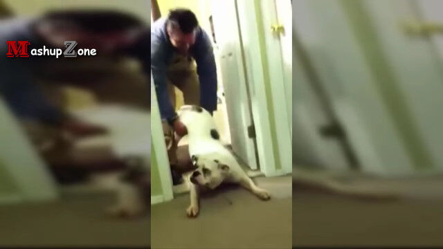 �֤���Ϥ�ʤ�����ꤿ���ʤ����פ���Ϥ�������ɬ����񹳤򸫤��븤�����α�����