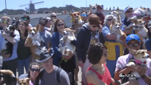 700ɤ�ʾ�Υ��������������ޤ롢�������������Τ���Υ��٥�ȡ�������������