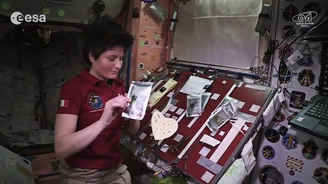 �������ԻΤ��±餹�롢̵���϶��֤ǤΥ������κ����