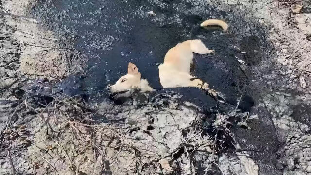 Ϥξ¤ȤޤꡢȴФʤʤäƤޤäε߽з