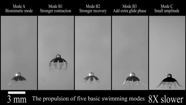 わずか3ミリ、本物のクラゲのように泳ぐ超小型ロボット
