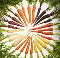ColorfulCarrots