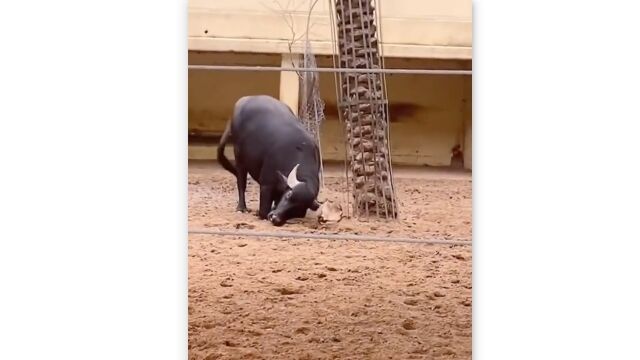 Ҥä֤äꥯƤ륹奦ˡҤꤢ