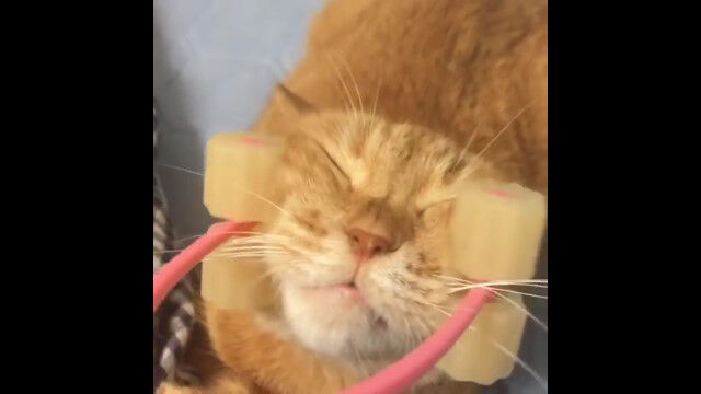 ǭ���äѤ굤������������������顼�������ɽ����⤫�٤�ǭ