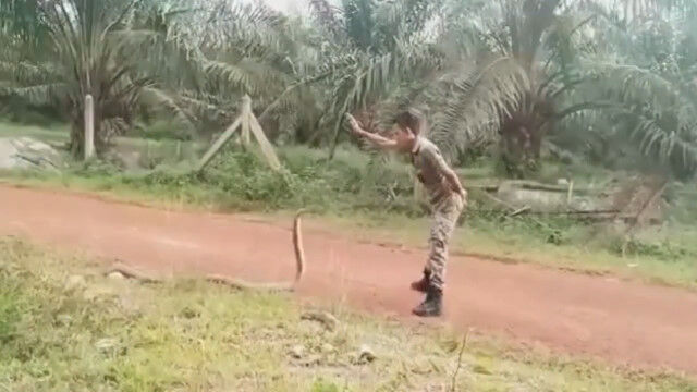 ���֥���Ǽ����ޤ���Τˡ����ԡ��ɤ����פ��Ȥ������򶵤��Ƥ����ޥ졼������ʼ��