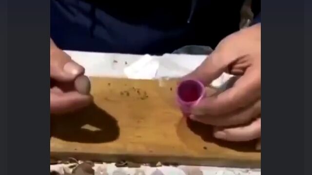 �ڥåȥܥȥ���������Ȥ߹�碌������󥰥���åȤǥԥ���������դ��Ȥ���ȯ��