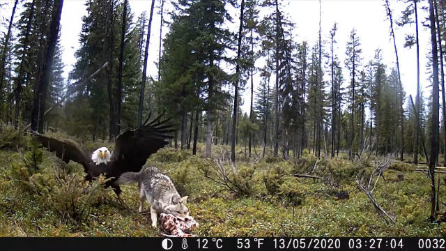 ��ʪ��å���礤���Ͼ���臘�ϥ��ȥ��亮�ȥ��衼��