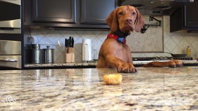 �ơ��֥�ξ�Υ��줬�ߤ������Ȥ�����������ɬ��ʱ�����