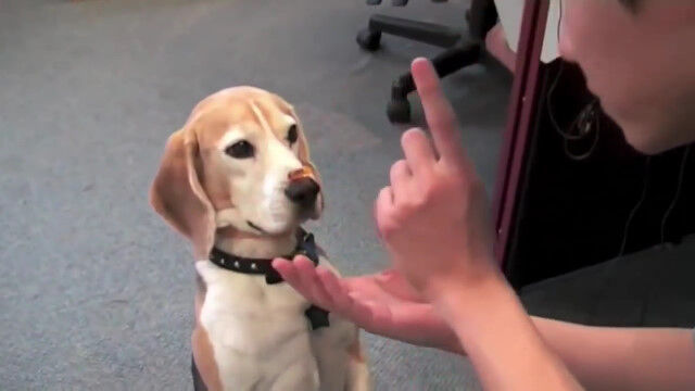 椷ɡ֤줿Ĥ򤳤äƤⵤդʤ