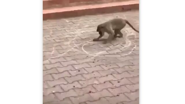 �Ф����̤˱ߤ������������Ȥ��ܳФ᤿����