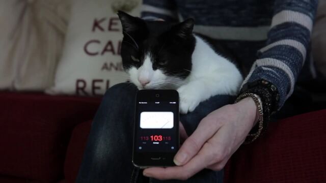 �������礭�ʲ��ǥ������������Ĥ餹ǭ���ޡ���󤯤�