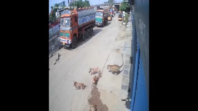 ���å���������Υ���ɳ���������Υҥ祦�λѤ����ͤ򽱤������˽���졢�Ѥ�ä��ޤǤ��ƻ륫����ª������