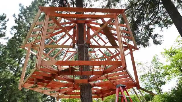 �����ͤ�Ⱦǯ�����ơ����ͤ�������ܵ��Υĥ꡼�ϥ�������Ƥ���󤷱���