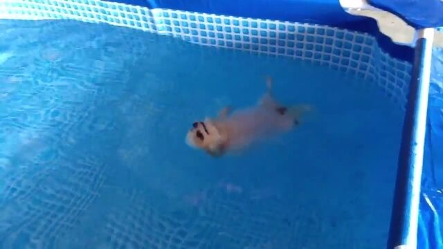 äرˤǤȶäƤޤΥߥ륭رˤ