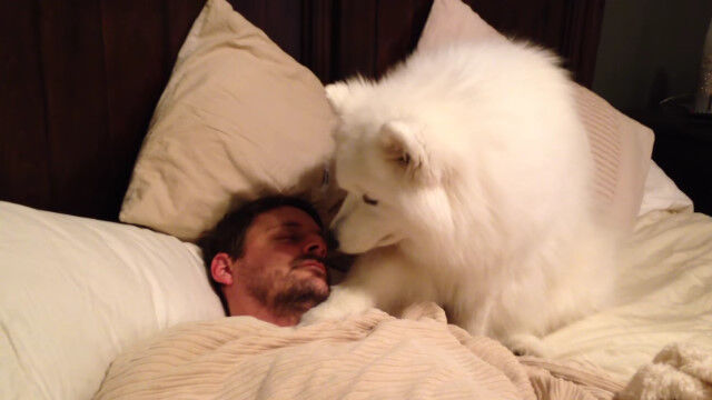 �礭���Τ˻��������٤���ͥ��������Ǥ�����ͤ򵯤������⥨�ɸ�