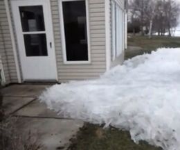 ���ʤβȤ����̤�ɹ�����兩�ﲡ���󤻤Ƥ��뼫������