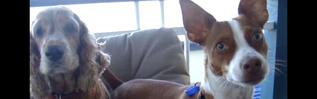 ��������ʹ���ʤ�������ʸ�������֤���ľ�ˤʤ���ˡ�θ���