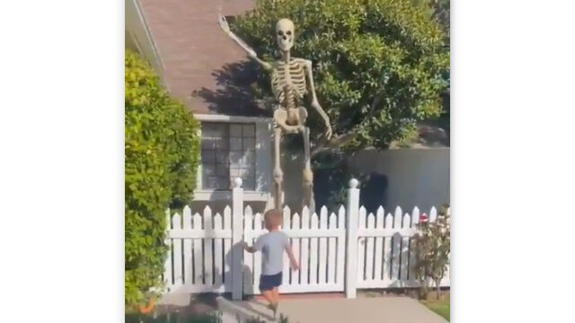 ������ȥ��礭������椨�˵��Ť���������Υ�ޤǶ�Ť��Ƥ��ޤä��ˤλ�